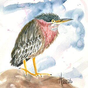 Green Heron on a Pink Rock Art Original Watercolor Painting 11x14in Matted